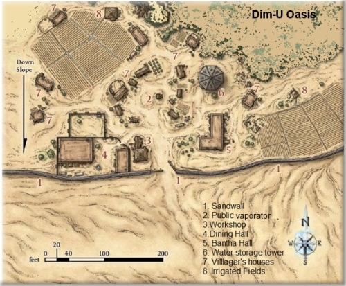 Oasis